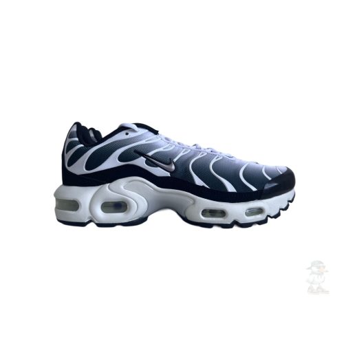 Nike Air Max Plus GS - Cool Grey